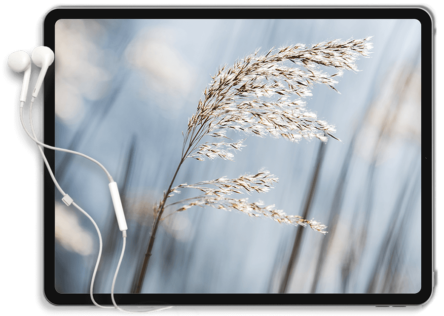 https://auryn-coaching.be/wp-content/uploads/2022/01/Tablet.png