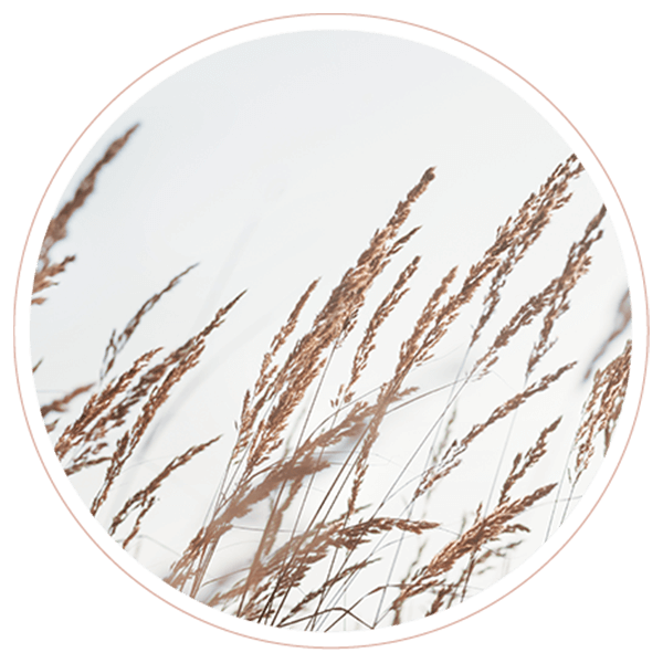 https://auryn-coaching.be/wp-content/uploads/2022/02/image_02_contact.png